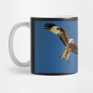 Red Kite in Flight Mug